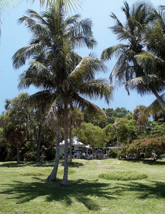 Click to See Next Image